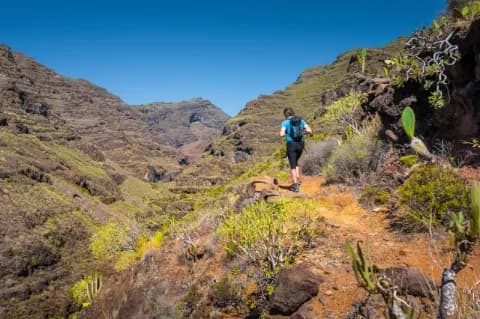Eine Wanderin läuft auf einem steinigen Pfad. Der Boden ist orange ringsum sind Büsche und Blumen.