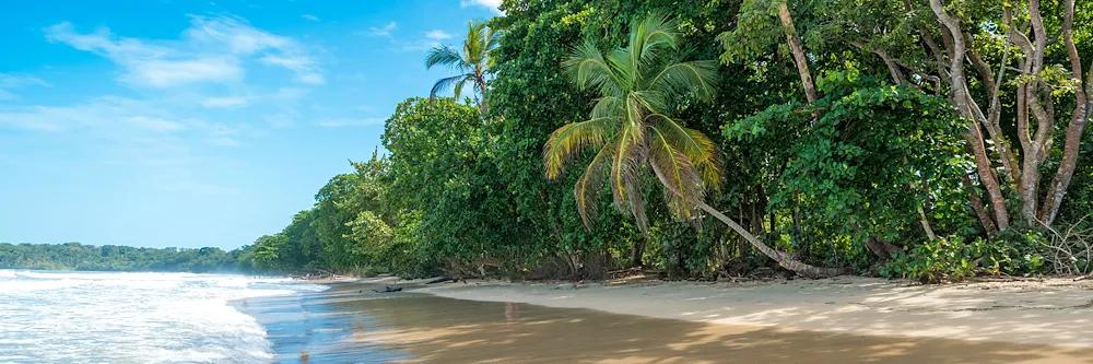 Brandung am weißen Sandstrand und dicht bewachsenem grünem Wald mit Palmen unter blauem Himmel