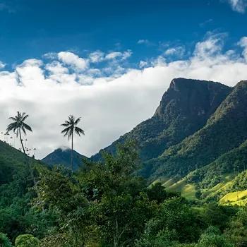 Mobile header background