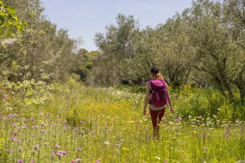 Frau mit Wanderrucksack läuft über eine Wiese mit hohem Gras.