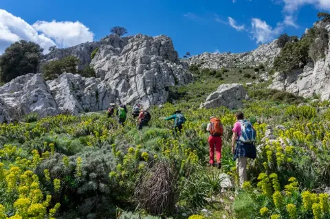Eine Wandergruppe steigt durch eine grüne Buschlandschaft einen Berg hinauf. Weiter oben sind graue Felsen zu sehen.