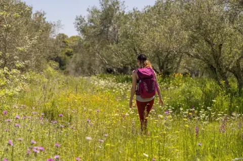 Frau mit Wanderrucksack läuft über eine Wiese mit hohem Gras