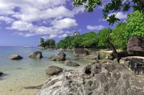 Blick auf eine felsige Bucht mit grünem Wald in Madagaskar.