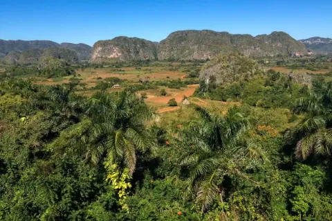 Blick über eine grüne Landschaft mit Palmen. Im Hintergrund ist eine Hügelkette zu sehen.