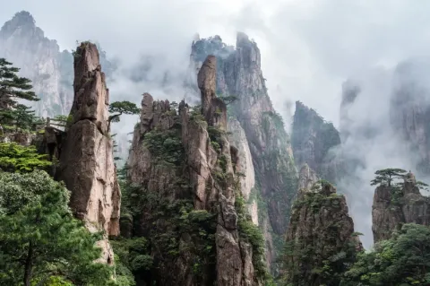 Blick auf fingerförmige in die Luft ragende Felsen, die teilweise von Wald bewachsen sind. Zwischen den Felsen ist es neblig.