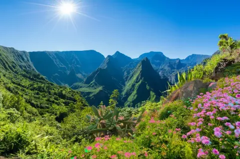 Blick auf die leuchtend grüne Landschaft der Insel La Reunion. Im Hintergrund ist die Sonne am Himmel zu sehen, im Vordergrund blühen Blumen. 