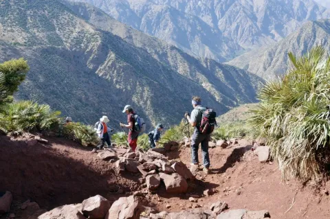 Fünf Wanderer steigen einen Berg auf einem schmalen, steinigen Pfad ab. Die Landschaft ist bergig.
