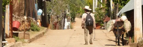 Ein Mann in beige gekleidet mit Hut läuft durch en Dorf mit einem Esel an seiner Seite.
