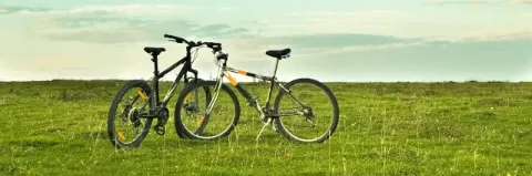 Zwei Fahrräder stehen auf einer grünen Wiese bei geschlossener Wolkendecke