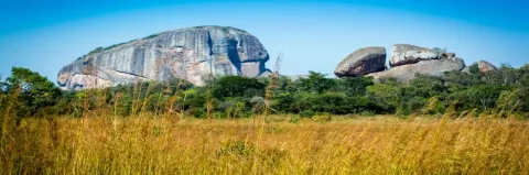 Zwei Felsen stehen hinter grünen Bäumen und einer Savannenlandschaft mit gelbem Gras unter blauem Himmel