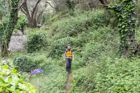 Frau läuft auf einem schmalen Pfad durch einen grünen Wald mit Bäumen, Wiese und Pflanzen