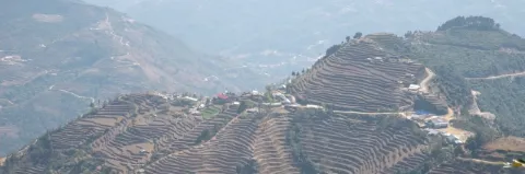 Blick auf eine grüne, hügelige Landschaft mit grünen Terrassenfeldern und einzelnen Dörfern