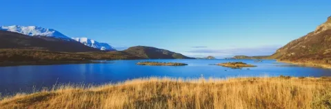 Braunes Gräser vor einer Bucht mit blauem Wasser und schneebedeckten Bergen im Hintergrund unter blauem Himmel