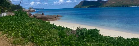 Grün bewachsener Strandabschnitt mit weißem Sand, blauen Meer und grauen Felsen