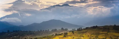 Nebelverhangene Bergkette hinter einer grünen flachen Berglandschaft mit einzelnen Bäumen