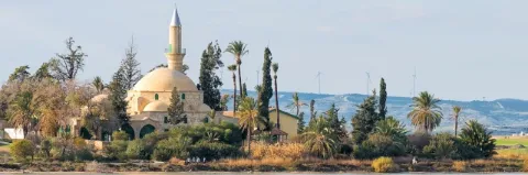 Moschee am Wasser umrundet von grüner Vegetation unter bewölktem Himmel