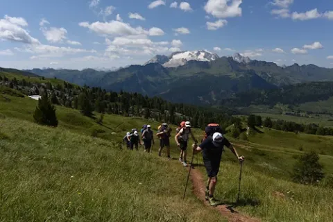 Ein Gruppe an Hauser-Reisenden wandert durch eine grüne Berglandschaft in den italienischen Dolomiten.