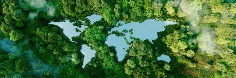 Ein See in Form der Kontinente der Erde inmitten unberührter Natur
