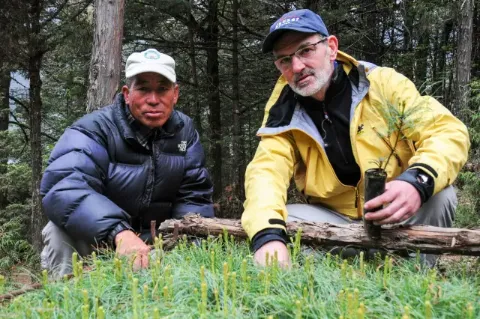 Zwei Männer sitzen auf einer Wiese und pflanzen einen Baum.