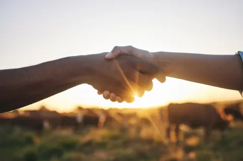 Vor einem sonnigen Hintergrund geben sich zwei Personen die Hand.