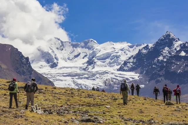 Eine Wandergruppe geht unterteilt in mehrere kleine Grüppchen auf einer kargen, grünen Ebene. Im Hintergrund sind hohe, mit Schnee bedeckte Gipfel zu sehen. 