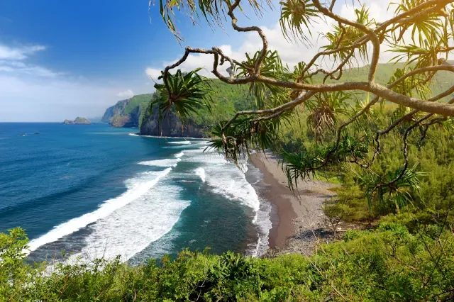 Blick von oben auf eine kleine Bucht in Hawaii in die Wellen des Meeres hinein schwappen. An Land ist ein dichter Wald zu sehen.