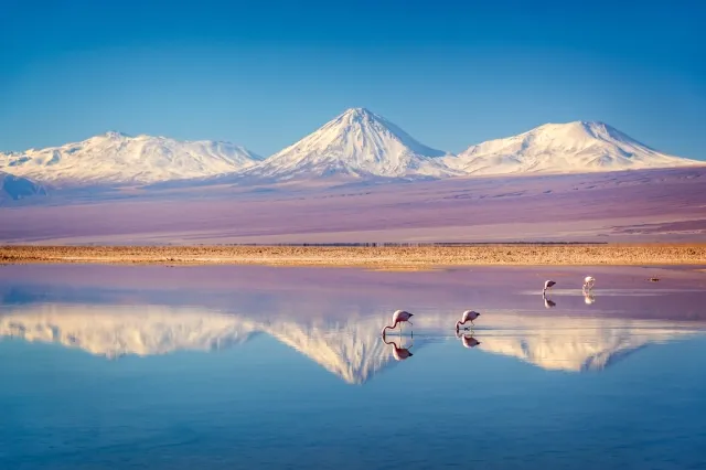 Auf dem Wasser spiegeln sich die schneebedeckten Berge und die rötliche Landschaft. Es gibt Flamingos.
