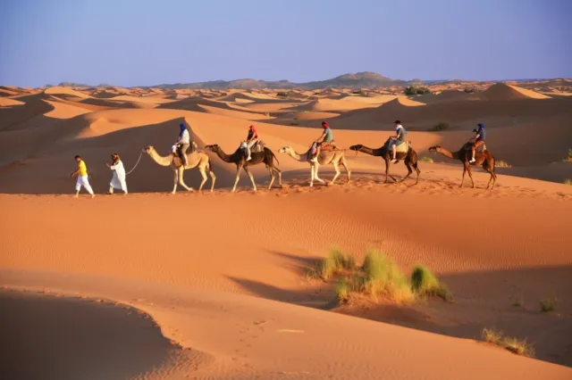 Eine Kamelkarawane aus fünf Kamelen zieht durch die Sanddünen der Wüste.
