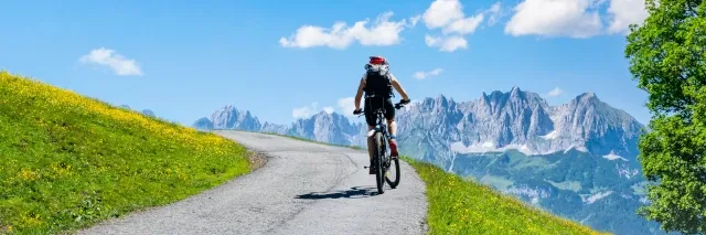 Ein Mountainbike Fahrer fährt auf einer geteerten Straße. In der Ferne sind die Gipfel der Alpen.  