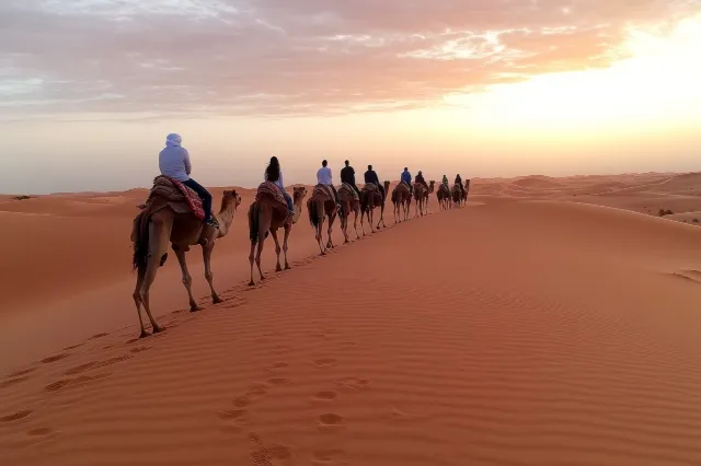 Mehrere Personen reiten auf Kamelen hintereinander in der Sonnenuntergang auf einer Sanddüne