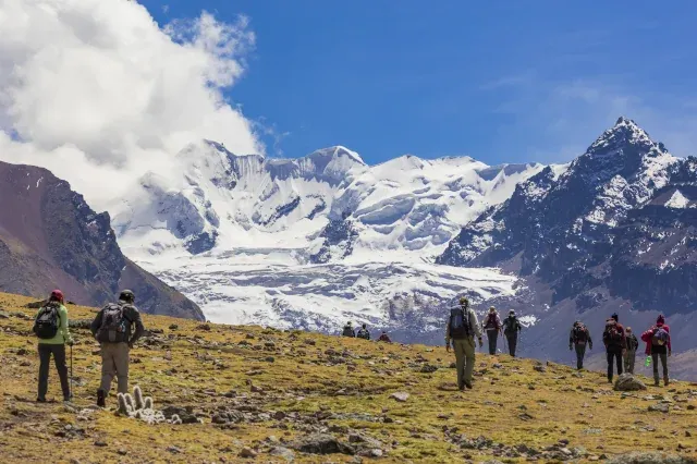 Eine Wandergruppe geht über eine steinige und mit Gras bewachsene Ebene vor schneebedeckten Gipfel.