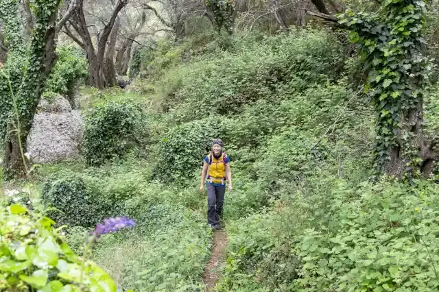 Frau läuft auf einem schmalen Pfad durch einen grünen Wald mit Bäumen, Wiese und Pflanzen