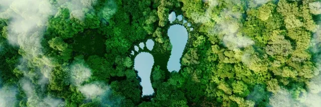 Ein See in Form menschlicher Fußabdrücke inmitten eines üppigen Waldes