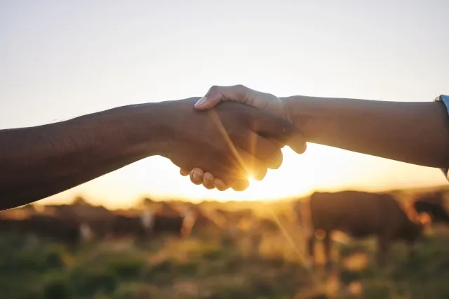 Vor einem sonnigen Hintergrund geben sich zwei Personen die Hand.