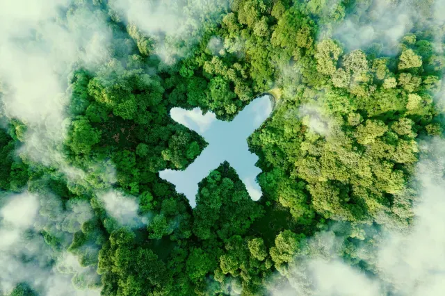 Ein grüner Wald von oben mit einem See in der Form eines Flugzeugs. 