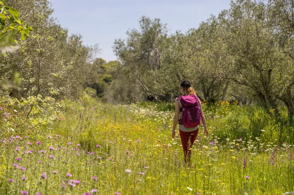 Frau mit Wanderrucksack läuft über eine Wiese mit hohem Gras