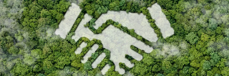 Blick von oben auf einen grünen Wald. Es ist die Form eines Handschlags im Wald zu erkennen. 