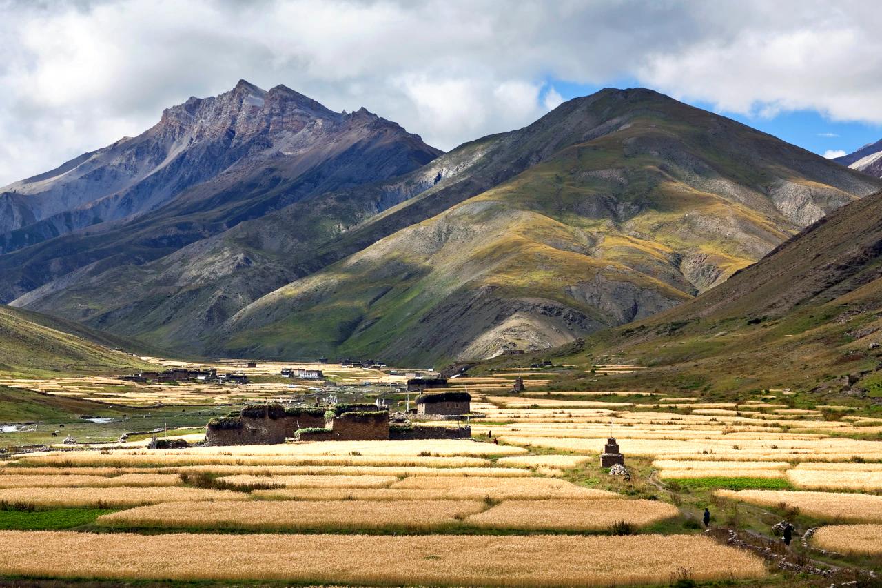 Mobile header background