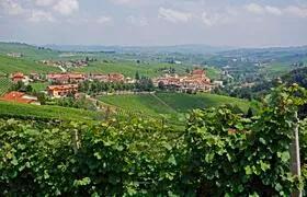 Der Blick schweift über Barolo und die Weinhänge im italienischen Piemont.