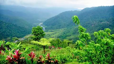 Aussicht auf El Copal mit üppiger Vegetation und Fluss.