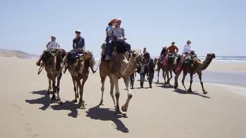 Reisende auf einem Kamelritt am Strand.