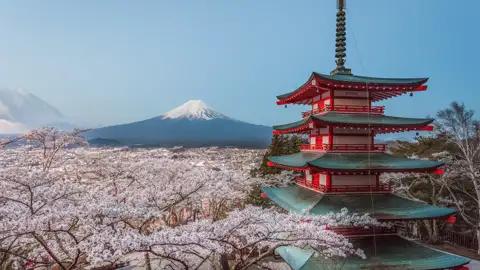 Japanische Pagode mit Kirschblüten und Blick auf den Berg Fuji.