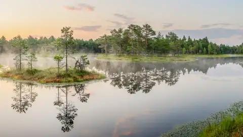 Mystische Stimmung am Moorsee mit Nebelschwaden und Baumspiegelungen.