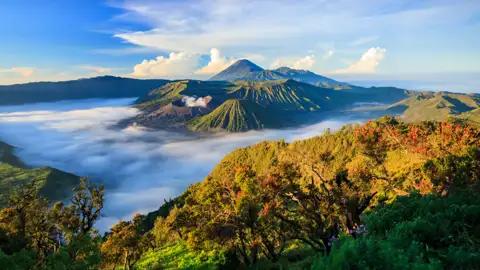 Ausblick auf den Vulkan Bromo und die umliegende Landschaft.