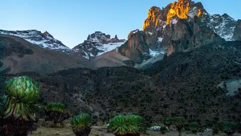 Spektakulärer Sonnenaufgang über dem Mount Kenia mit Blick auf die schneebedeckten Gipfel und die einzigartige Flora im Vordergrund.