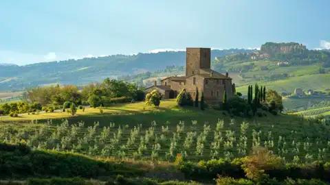Toskanisches Landhaus mit Olivenhainen und Weinbergen im Hintergrund.