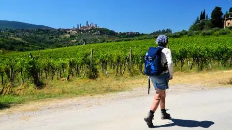 Wanderer auf einem Weg durch Weinberge in der Nähe von San Gimignano.