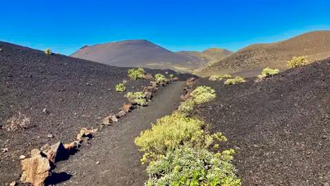 Wanderweg durch eine Vulkanlandschaft mit schwarzem Gestein und vereinzelten Pflanzen.