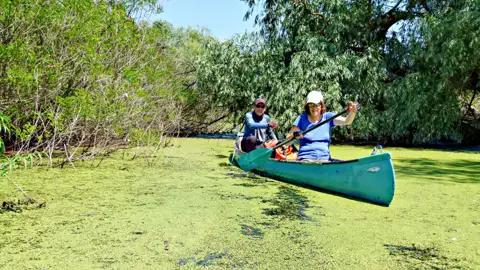 Zwei Paddler in einem Kanu auf einem von Wasserlinsen bedeckten Fluss.