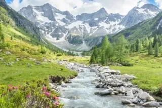 Landschaft mir grüner Wiese, Bäumen, Blumen, einem Wildbach und Bergen mit Schneefeldern